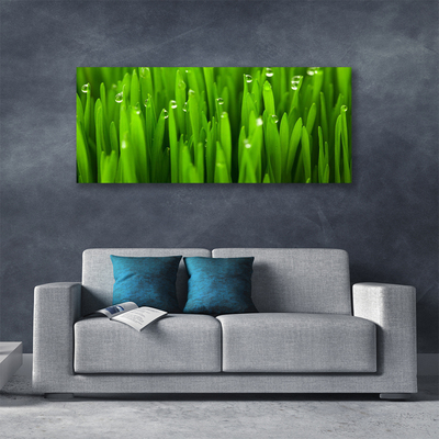 Canvas print Grass nature green