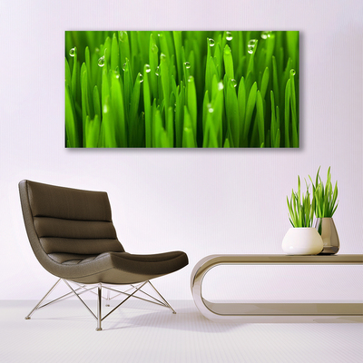 Canvas print Grass nature green