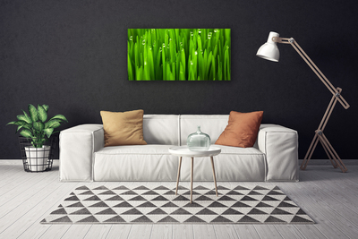 Canvas print Grass nature green