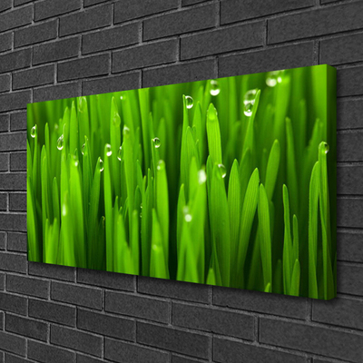 Canvas print Grass nature green