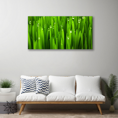 Canvas print Grass nature green