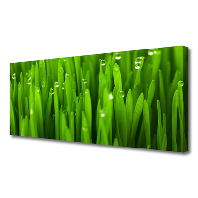 Canvas print Grass nature green