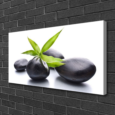 Canvas print Stones leaves art black green