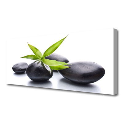 Canvas print Stones leaves art black green