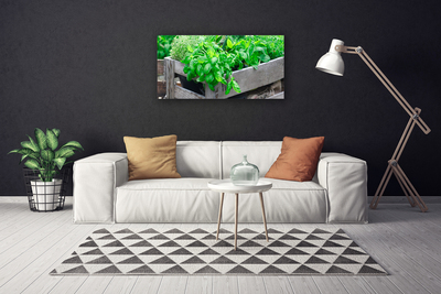 Canvas print Leaves floral green