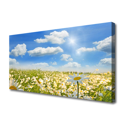 Canvas print Meadow daisies nature green blue white