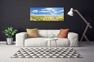 Canvas print Meadow daisies nature green blue white