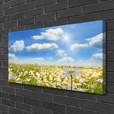 Canvas print Meadow daisies nature green blue white