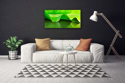 Canvas Wall art Leaf floral green