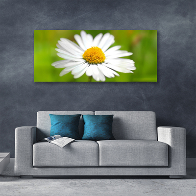 Canvas Wall art Daisy floral yellow white