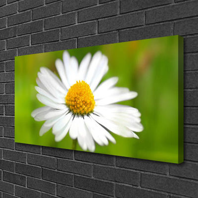 Canvas Wall art Daisy floral yellow white