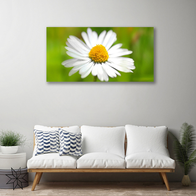 Canvas Wall art Daisy floral yellow white