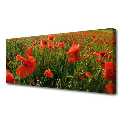 Canvas Wall art Poppies nature red green