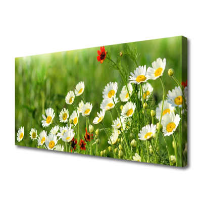 Canvas Wall art Daisy nature yellow white