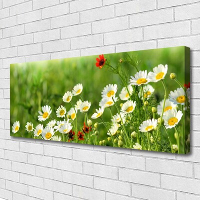 Canvas Wall art Daisy nature yellow white