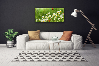 Canvas Wall art Daisy nature yellow white