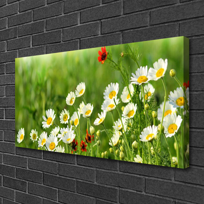 Canvas Wall art Daisy nature yellow white