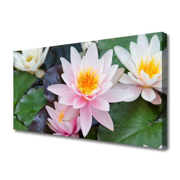 Canvas Wall art Flowers floral yellow pink