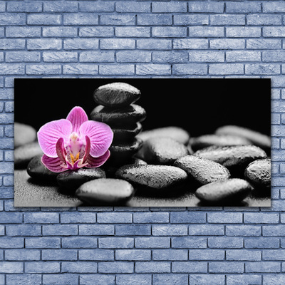 Canvas Wall art Flower stones art pink black