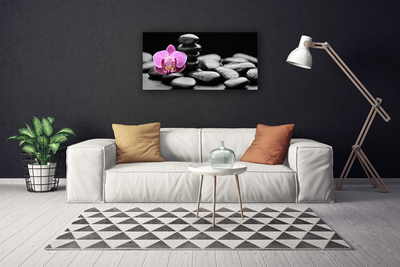 Canvas Wall art Flower stones art pink black