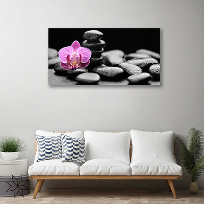 Canvas Wall art Flower stones art pink black