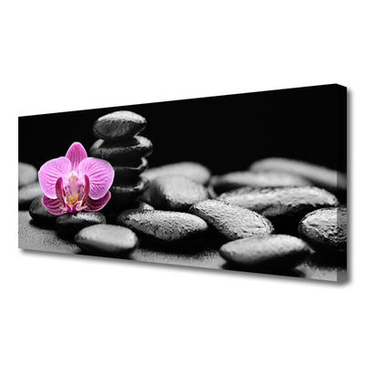 Canvas Wall art Flower stones art pink black