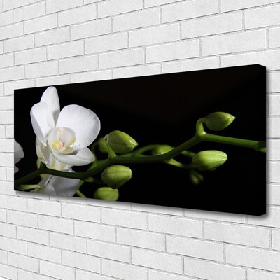 Canvas Wall art Flower floral white