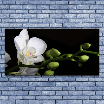 Canvas Wall art Flower floral white