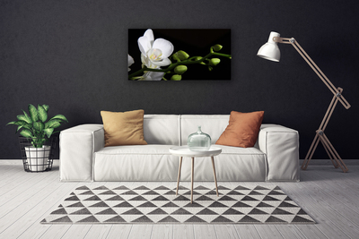 Canvas Wall art Flower floral white