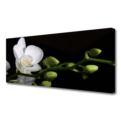 Canvas Wall art Flower floral white