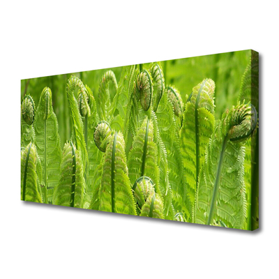 Canvas Wall art Plants floral green