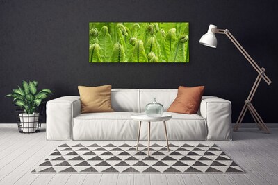 Canvas Wall art Plants floral green