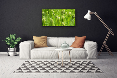 Canvas Wall art Plants floral green