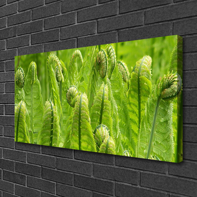 Canvas Wall art Plants floral green