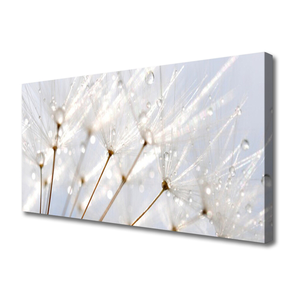 Canvas Wall art Dandelion floral white