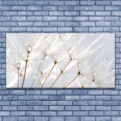 Canvas Wall art Dandelion floral white