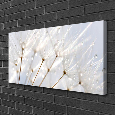 Canvas Wall art Dandelion floral white