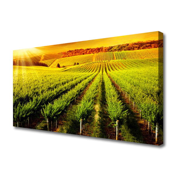 Canvas Wall art Field nature green brown