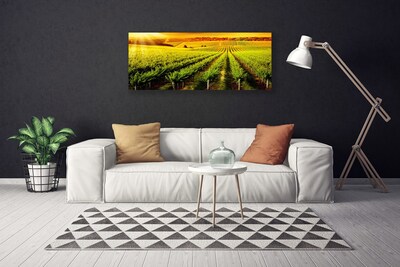 Canvas Wall art Field nature green brown