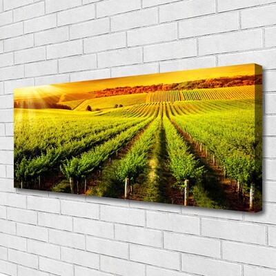 Canvas Wall art Field nature green brown