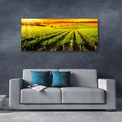 Canvas Wall art Field nature green brown