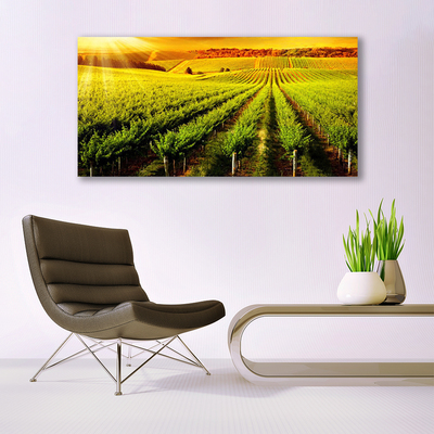 Canvas Wall art Field nature green brown