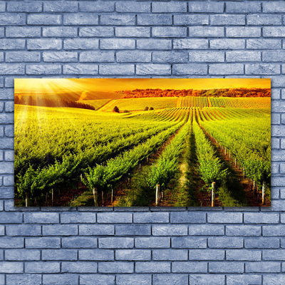 Canvas Wall art Field nature green brown