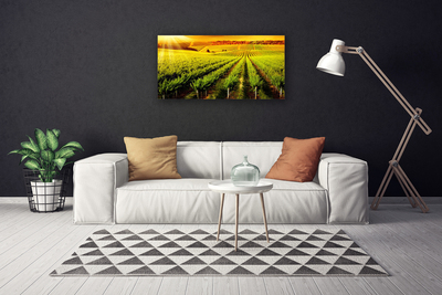 Canvas Wall art Field nature green brown