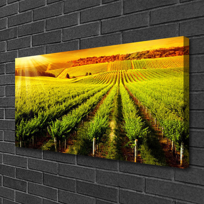 Canvas Wall art Field nature green brown