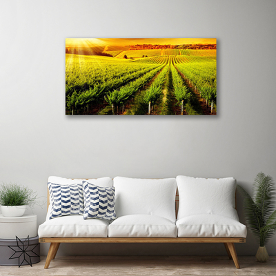 Canvas Wall art Field nature green brown