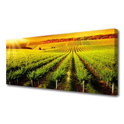 Canvas Wall art Field nature green brown