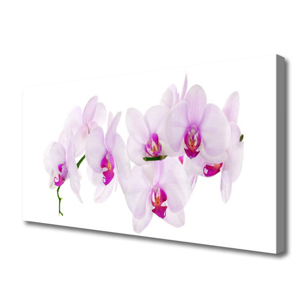 Canvas Wall art Flowers floral pink