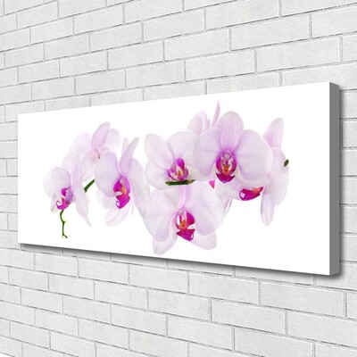 Canvas Wall art Flowers floral pink