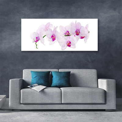 Canvas Wall art Flowers floral pink